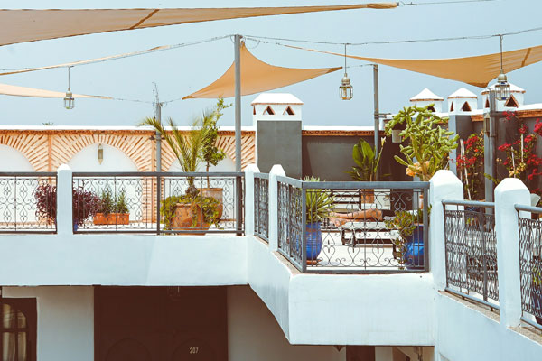 An example of gardening on a terrace