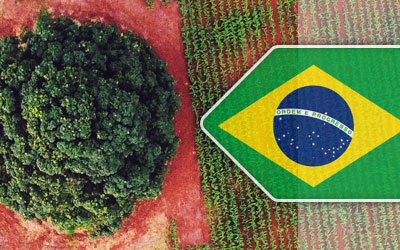 Agricultural Loans in Brazil