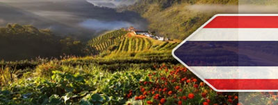 Agricultural Loans in Thailand