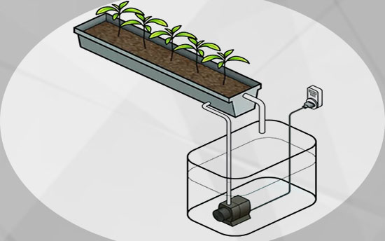 Ebb and flow hydroponic system