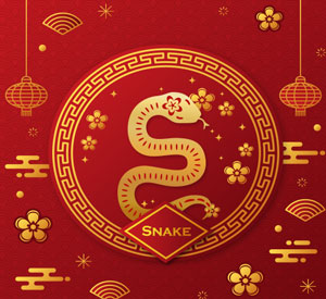 Chinese Zodiac Sign - Snake