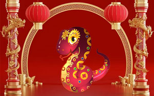 Dragon and Snake love compatibility