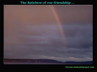 The rainbow of friendship
