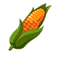 The corn clip-art for Thanksgiving