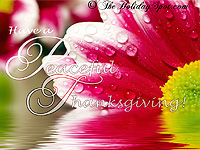 HD Flower wallpaper for Thanksgiving