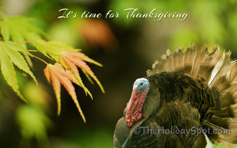 Thanksgiving Wallpaper on Download Or Right Click The Image To Save Or Set As Desktop Background