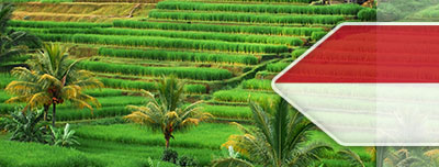 Agricultural Loans in Indonesia
