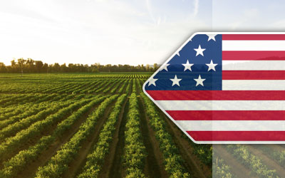Agricultural Loans in United States