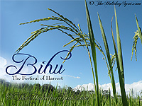 HD desktop illustration of Bihu