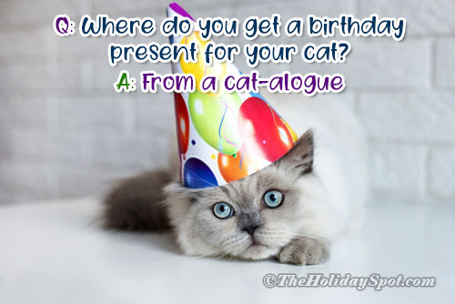 Funny birthday joke with question and answers