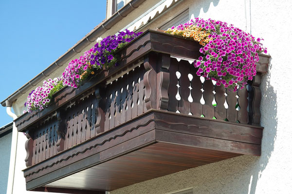 Beautiful flower plants on a balcony