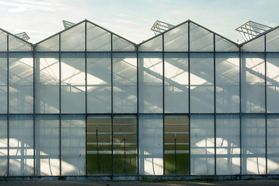 Gable-roof greenhouse