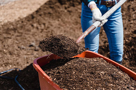 Guide for making Compost Manure
