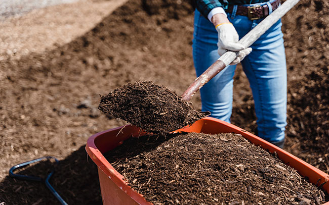 How to make organic fertilizer using organic waste as compost manure
