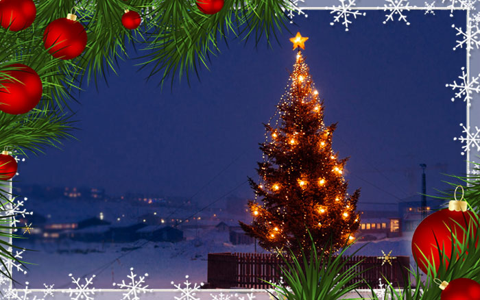 dekorace vánočních stromků v Grónsku