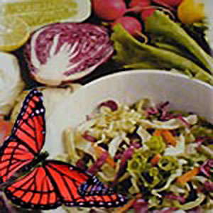 Butterfly salad