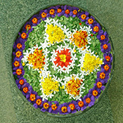 Flower Rangoli design-11