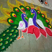 Peacock Rangoli design-11