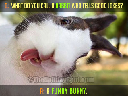 Funny Bunny Easter Joke