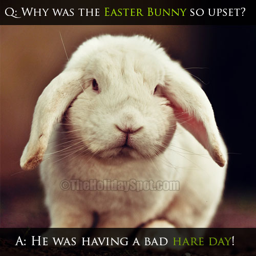 Easter Joke of upset bunny