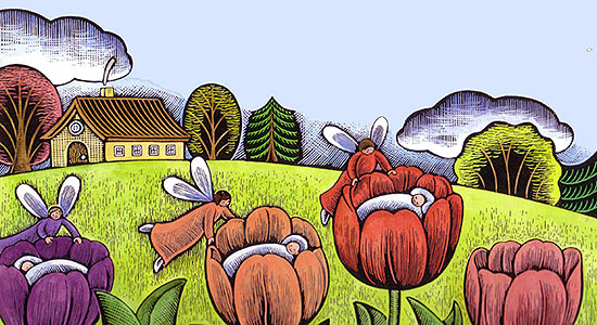 The Fairy Tulips