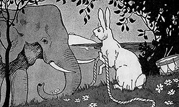 The story of Whale, Elephant and the Bunny