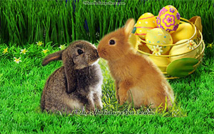 Wallpaper of two Easter bunnies