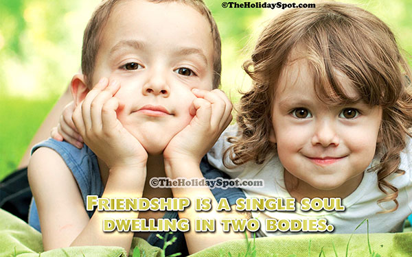 Friendship is a single soul dewelling in two bodies