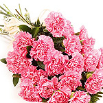 Carnation-pink