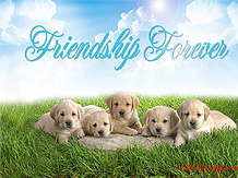canine friends wishing frienship day