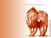 Friendship of Lions