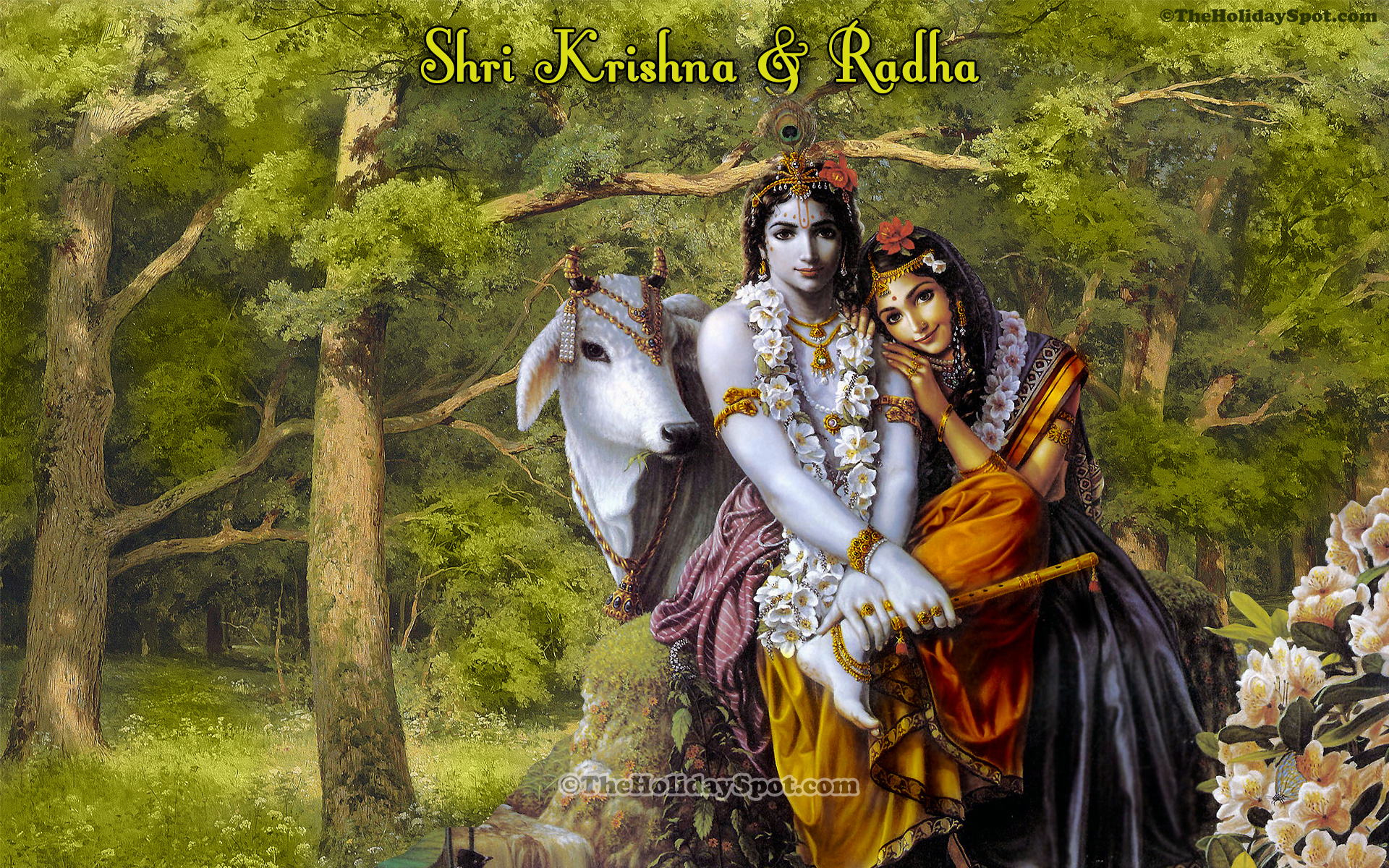 Krishna Janmashtami HD Wallpapers | Krishna Image Download