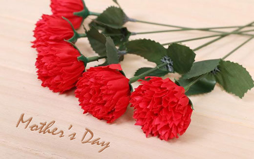 Red Carnations and Mother's Day