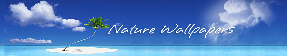 Free HD Nature Wallpapers