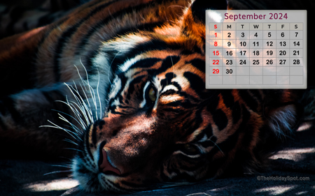 September 2024 HD 1080p Calendar wallpaper