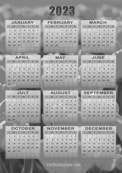 Printable black and white Calendar for the year 2023 with beautiful tulip flower background
