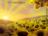 A New Dawn Illustration for New Year