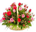 Basket of fresh rose flowers