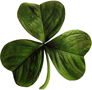 Shamrock leaf