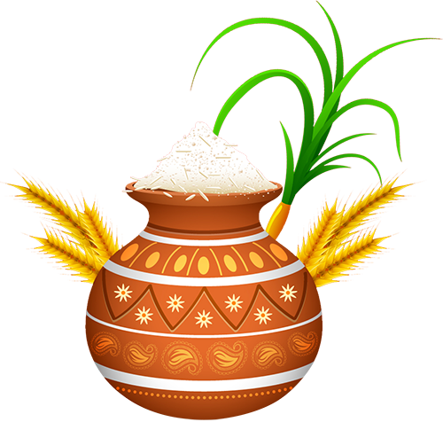 Happy Pongal Wishes for WhatsApp, Twitter and Facebook