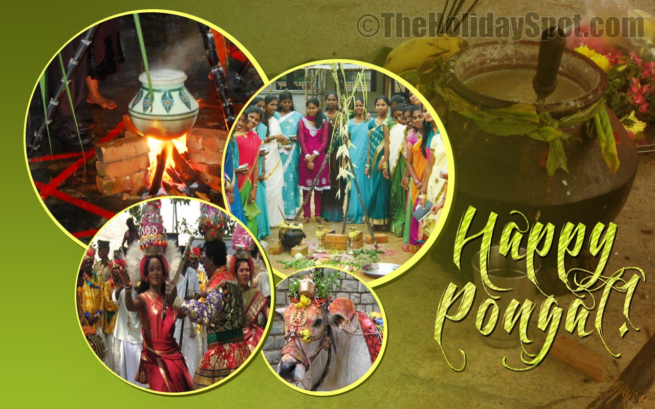 Pongal Celebrations - Wallpapers from TheHolidaySpot