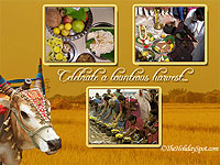 Pongal Wallpapers - Celebrate a bounteous harvest...