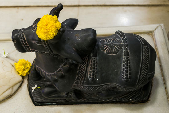 Nandi Bull - The Lord Shiv's Carrier