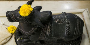 Nandi Becomes Shiva's Bull
