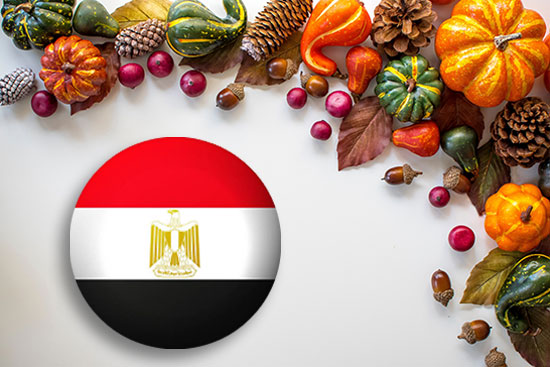 Thanksgiving Celebrations by Egyptian