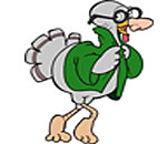 turkey with green coat