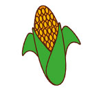 Sweet corn image for thanksgiving coloring