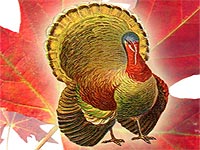 Turkey Wallpaper for Thanksgiving