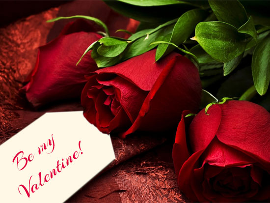 Roses - The love symbol of Valentine