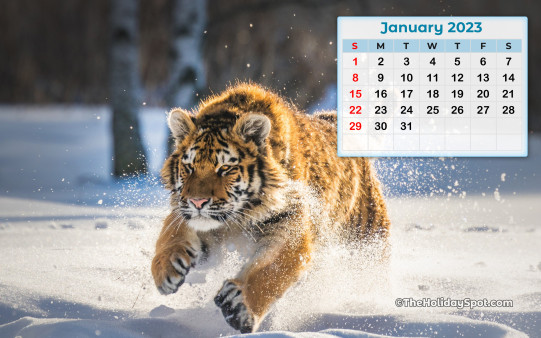 Download HD January 2023 Calendar wallpaper and set it as your desktop or mobile phone background.